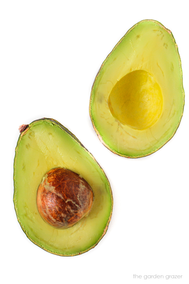 Fresh avocado cut in half on a white table
