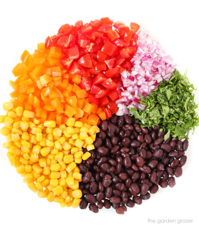 Bowl with fresh bell pepper, tomato, onion, and cilantro ingredients