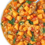 Bowl of vegan red lentil sweet potato stew with spoon