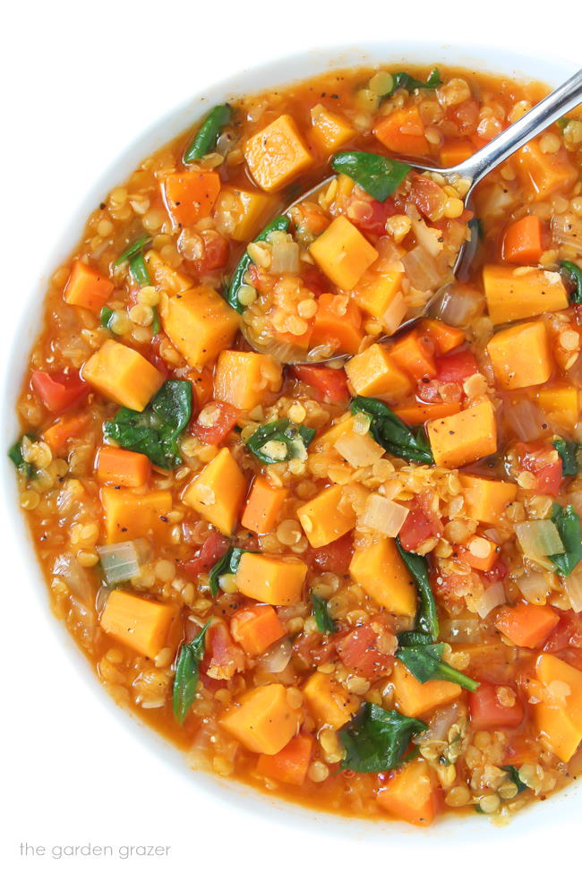 Bowl of vegan red lentil sweet potato stew with spoon