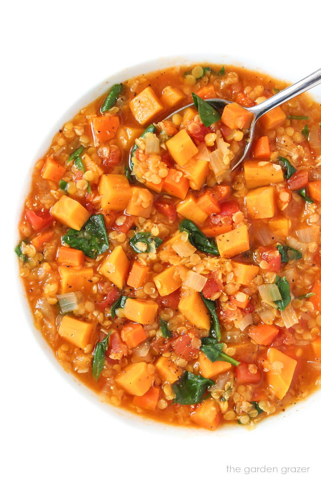 Bowl of vegan sweet potato stew with red lentils and spinach