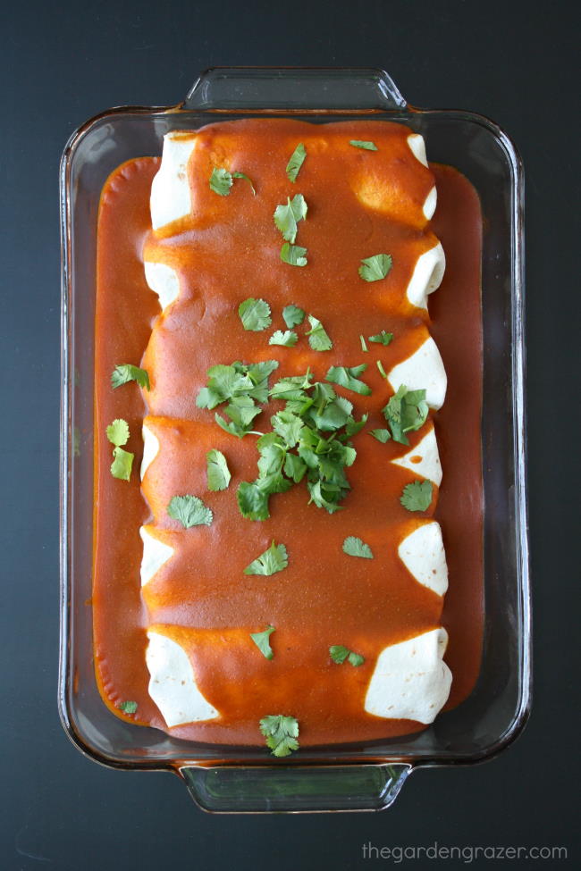 Pan of protein monster vegan enchiladas hot from the oven