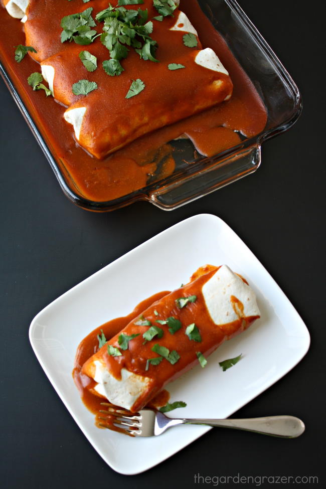 Plate with vegan enchilada and a fork