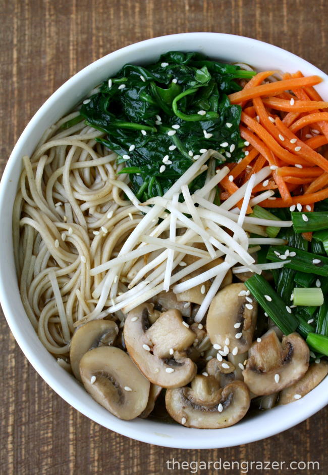 Bowl of Asian-style Noodle Soup with mushrooms and carrots