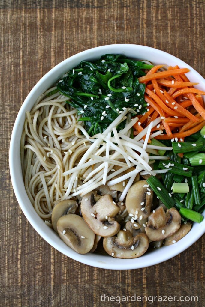 Bowl of Asian Noodle Soup with mushrooms and carrots