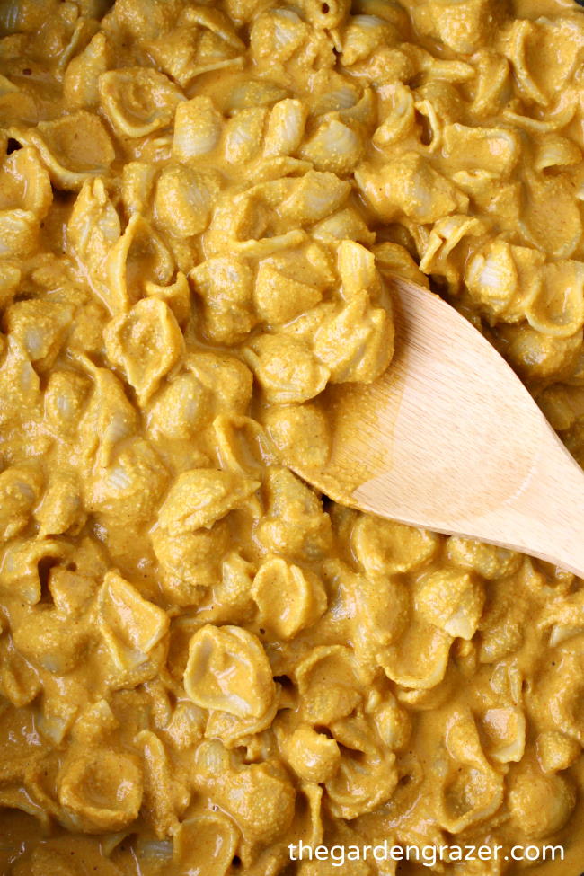 cashew mac and cheese cashew mac and cheese