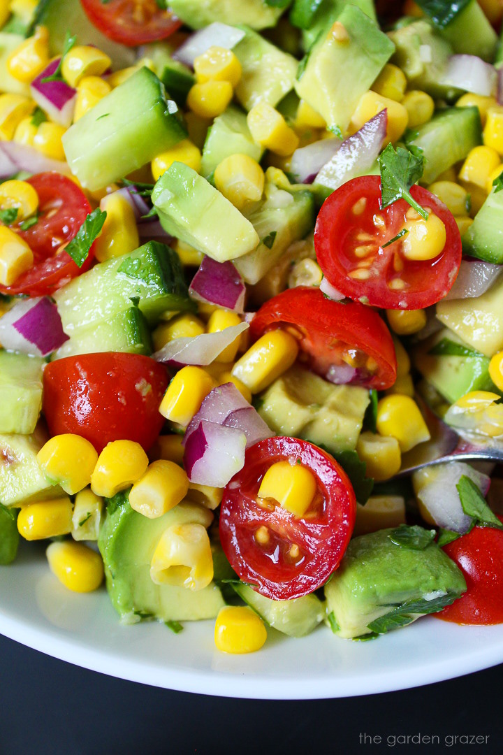Close up view of avocado corn salad with cucumber and tomato on a white plate