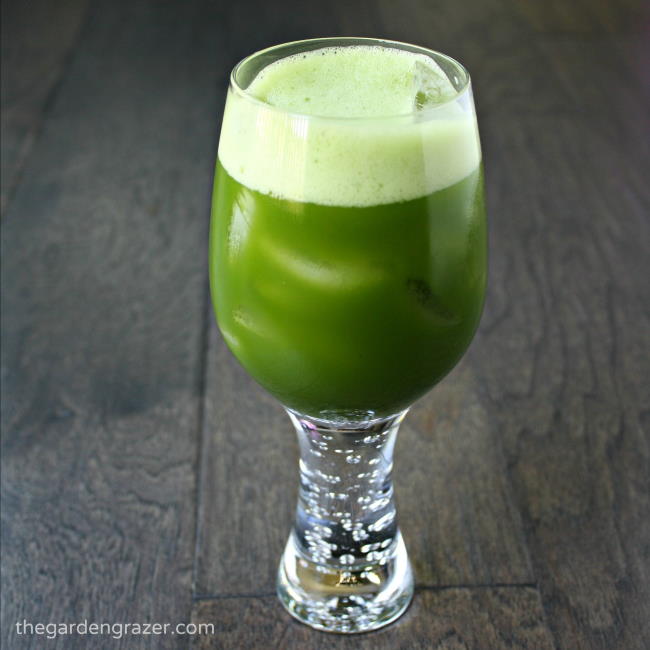 Glass of iced matcha green tea