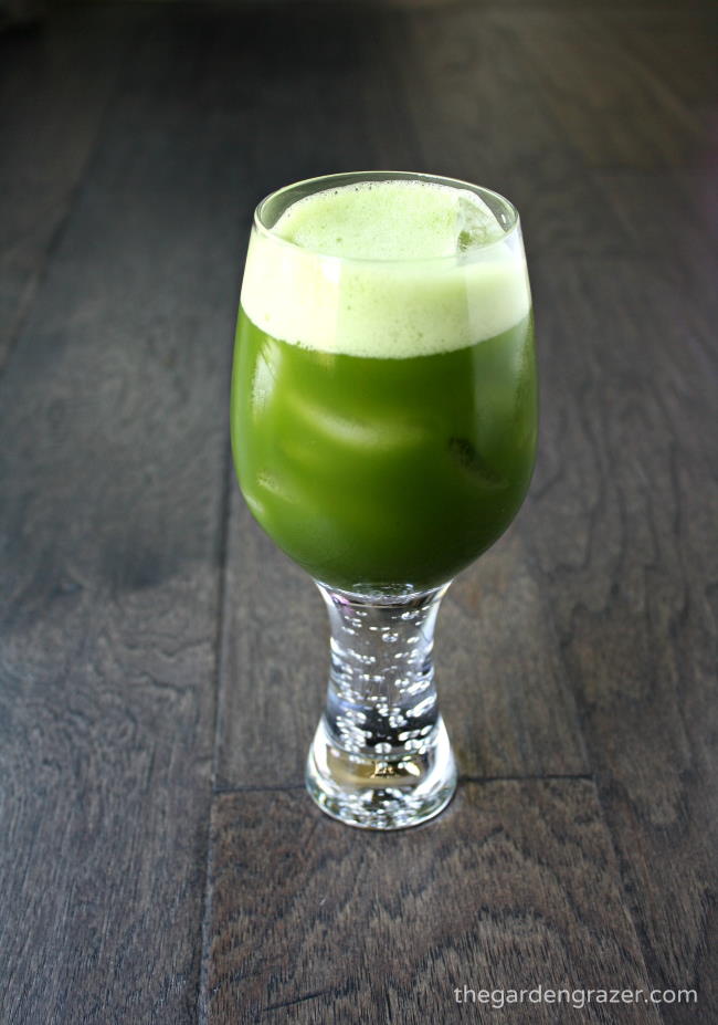 Glass of cold brew matcha green tea with ice