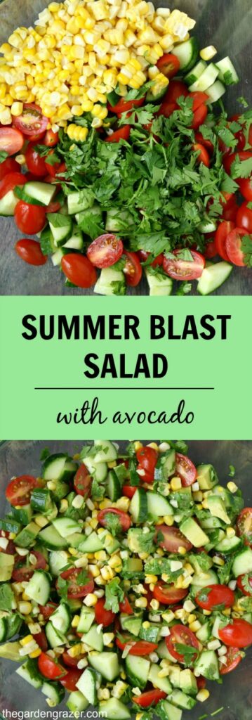 Summer blast salad photo collage