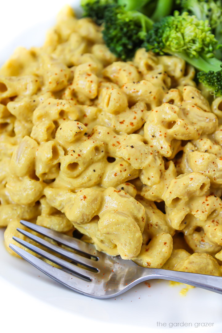 Close up view of cashew mac and cheese on a white plate with fork