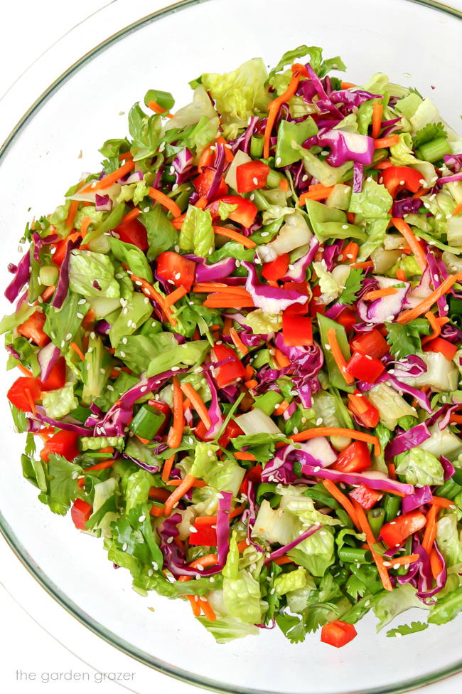 Bowl of Asian Style Chopped Salad