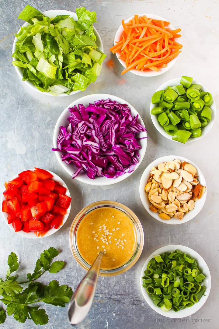 Purple cabbage, romaine lettuce, bell pepper, green onion, sugar snap peas, and herb ingredients laid out on a metal tray