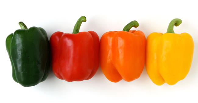 Four colorful, fresh bell peppers