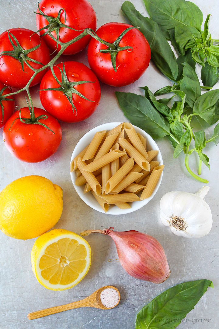 Penne noodles, garlic, lemon, shallot, basil, and salt ingredients laid out on a metal tray