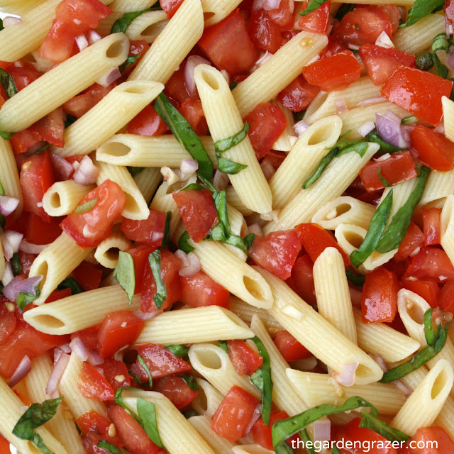 Close-up of pasta with fresh tomatoes and basil