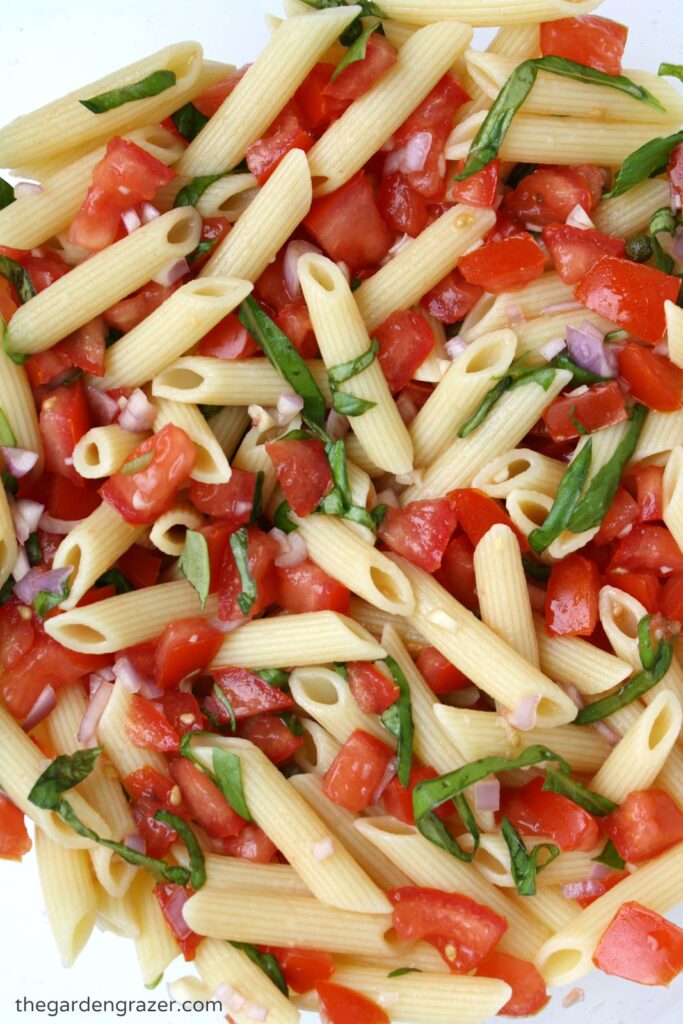 Bowl of fresh tomato basil pasta