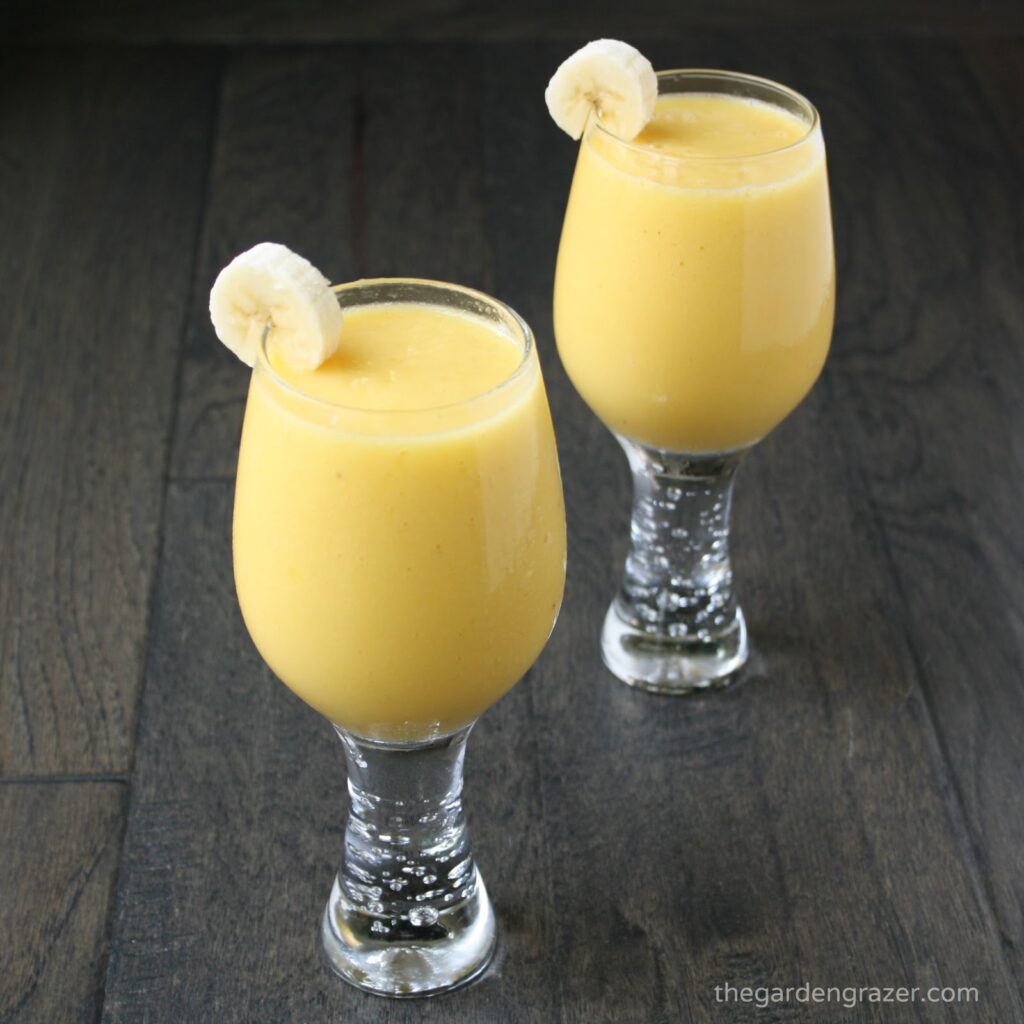 Vegan tropical smoothie in two glasses