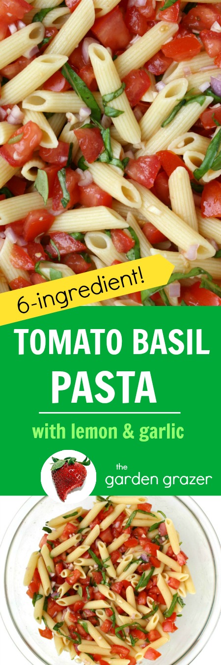 photo collage of tomato basil pasta