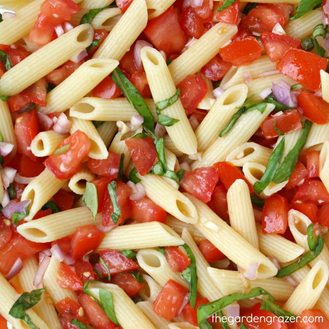 Close up view of tomato basil pasta