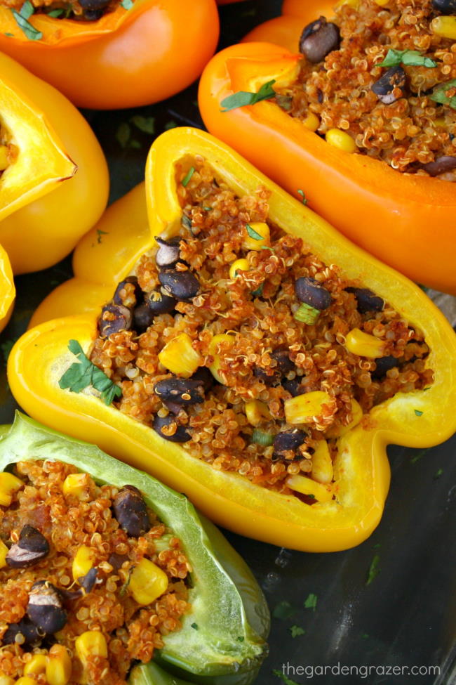 Cooked vegan quinoa stuffed peppers with black beans