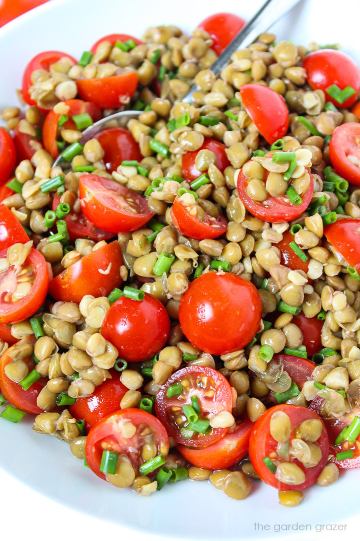 Close-up view of lentil tomato salad with chives on a white plate