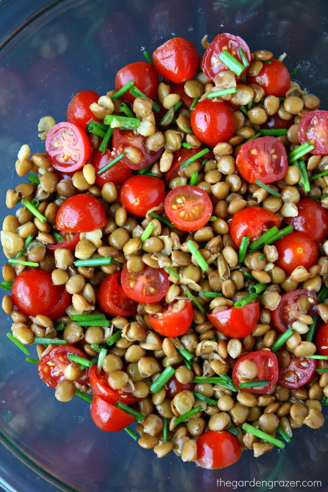 Lentil tomato salad in a bowl with chives