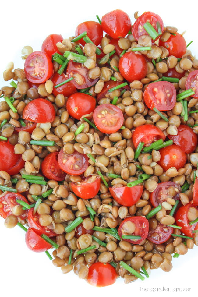 Tomato Lentil Salad tossed together in a bowl with chives