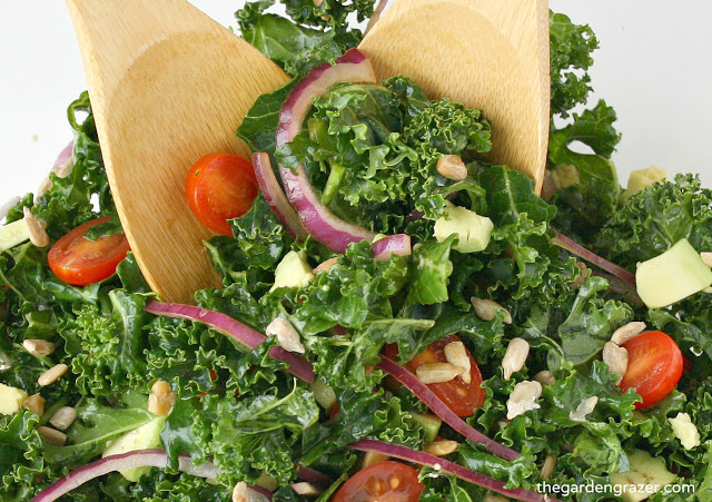 Vegan kale salad with onion, tomato, avocado