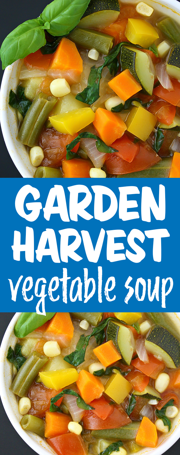 Vegan garden vegetable soup photo collage