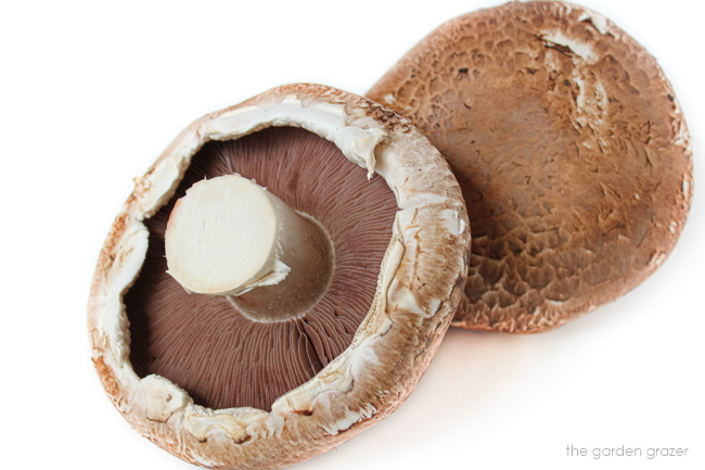 Fresh whole portobello mushrooms on a white table