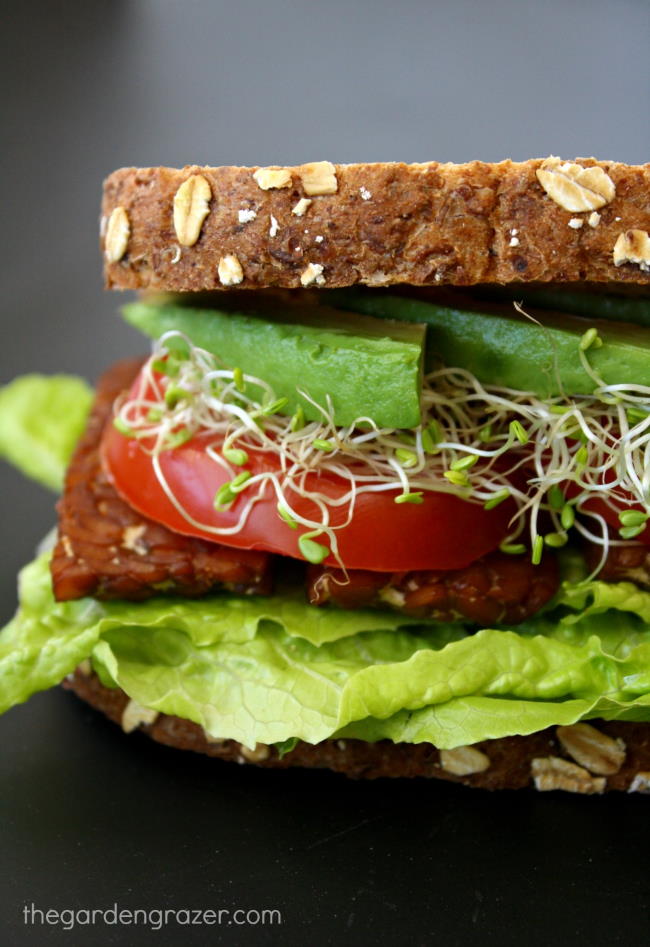 Side view of the vegan BLT sandwich with tempeh bacon