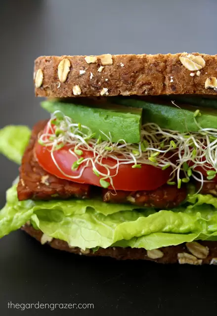 sidovy av vegan blt sandwich