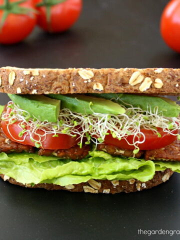 Vegan tempeh sandwich with avocado, lettuce, tomato