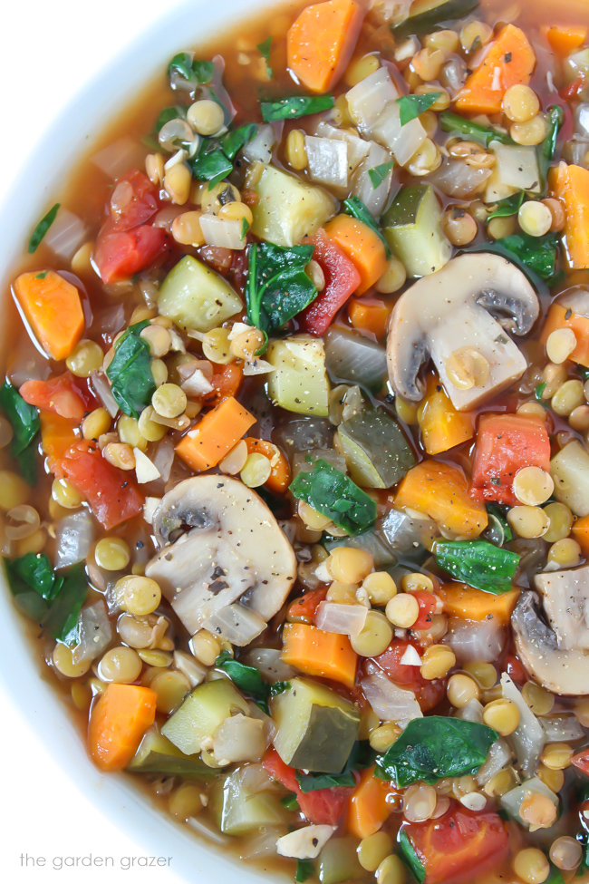 Vegan Lentil Veggie Soup in a bowl