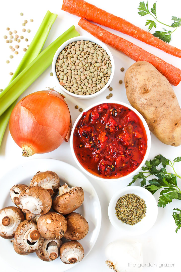 Diced tomatoes, carrots, celery, potato, mushrooms, onion, and herb ingredients laid out on a white table