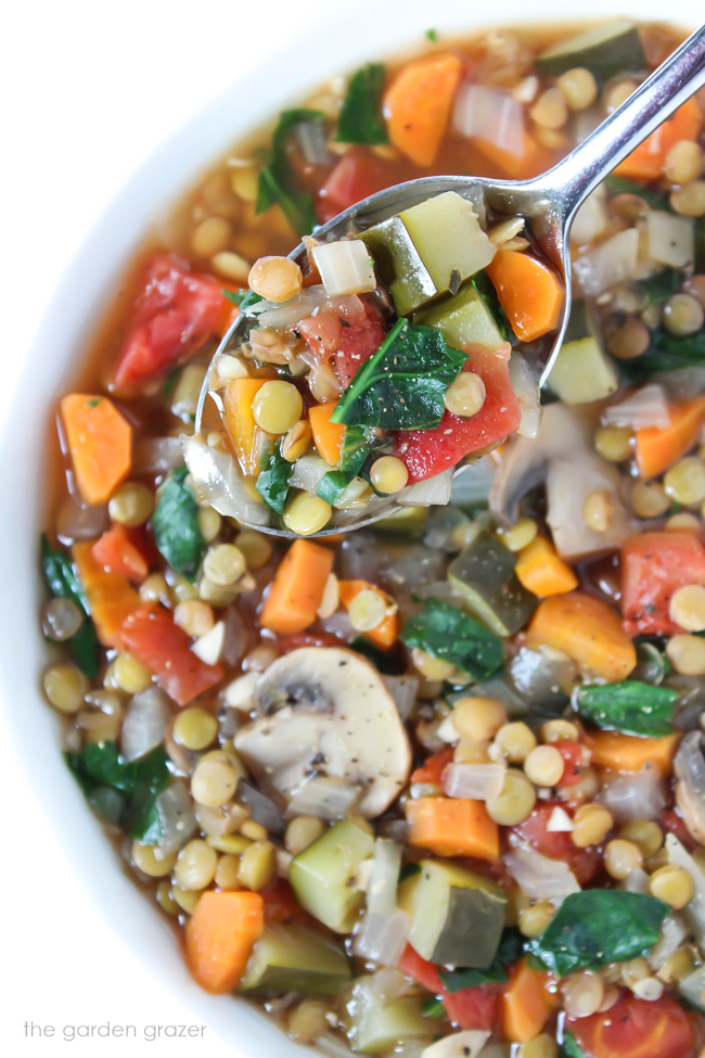 Spoon holding Lentil Vegetable Soup above the bowl