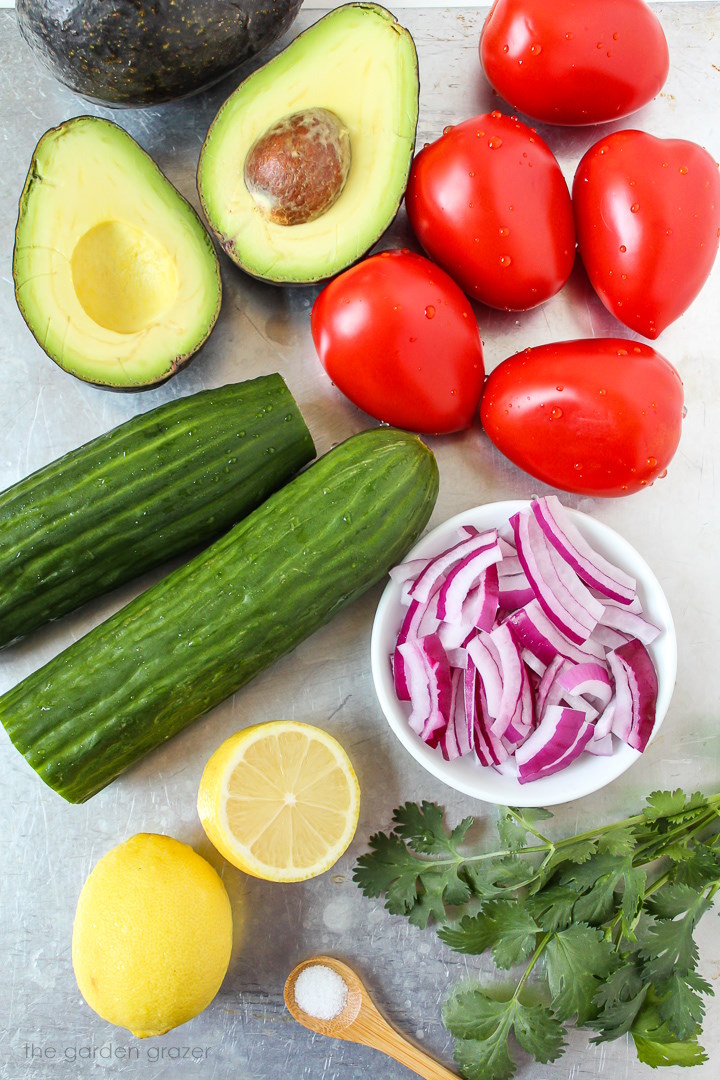 Fresh veggies, sliced onion, lemon, cilantro, and salt ingredients laid out on a metal tray
