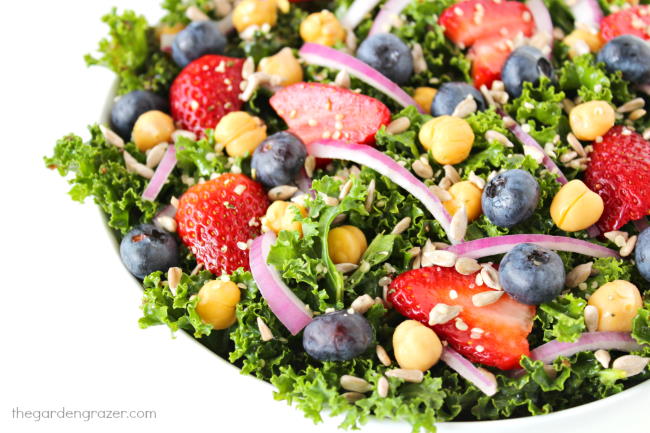 Bowl of super immunity power salad with kale, berries, and onions and chia balsamic dressing
