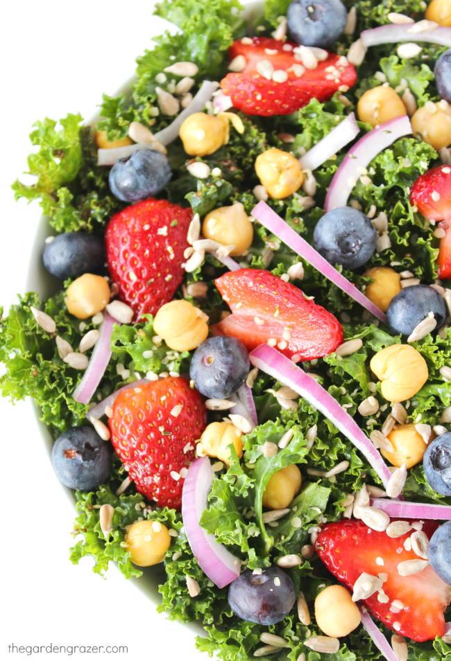 Bowl of kale power salad with berries, onions, and chia seed dressing