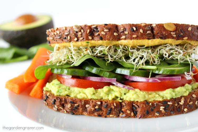 Avocado Sandwich on a plate with tomato, spinach, sprouts, and onion