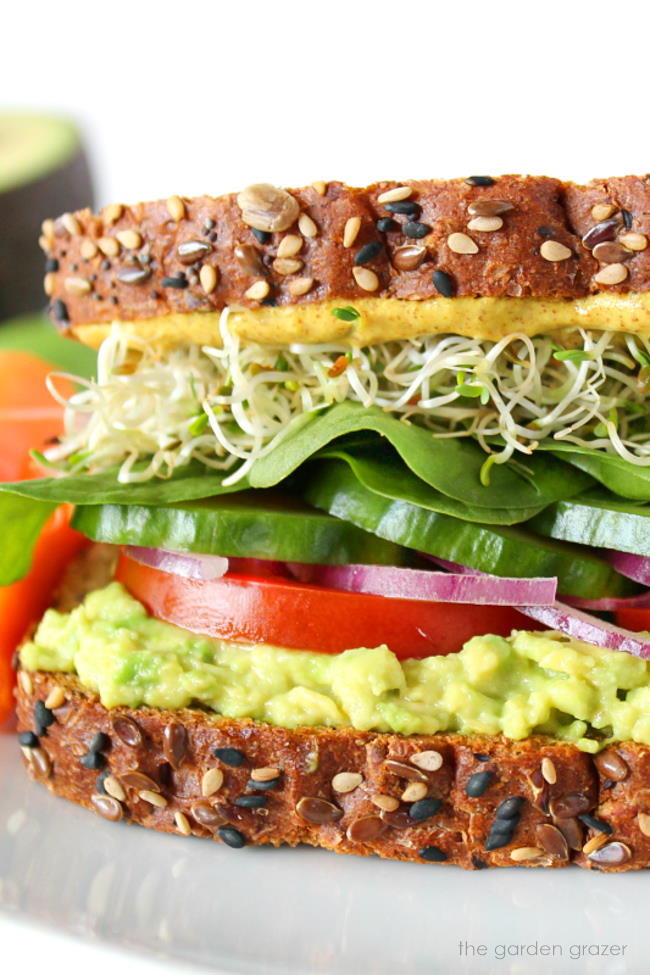Vegan avocado sandwich with veggies and sprouts on a white plate