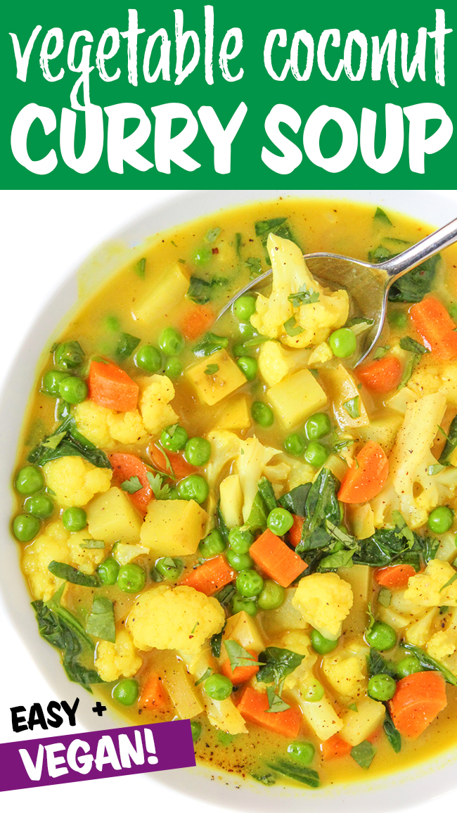 vegetable coconut curry soup photo collage