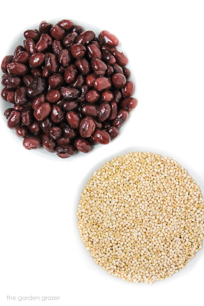 Two small white bowls of black beans and quinoa on a white table