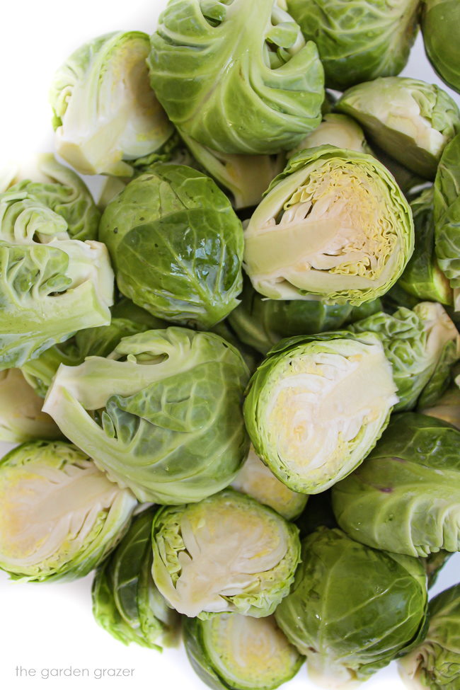 Raw Brussels sprouts cut in half