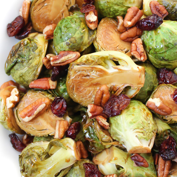 Maple balsamic roasted Brussels Sprouts with cranberry