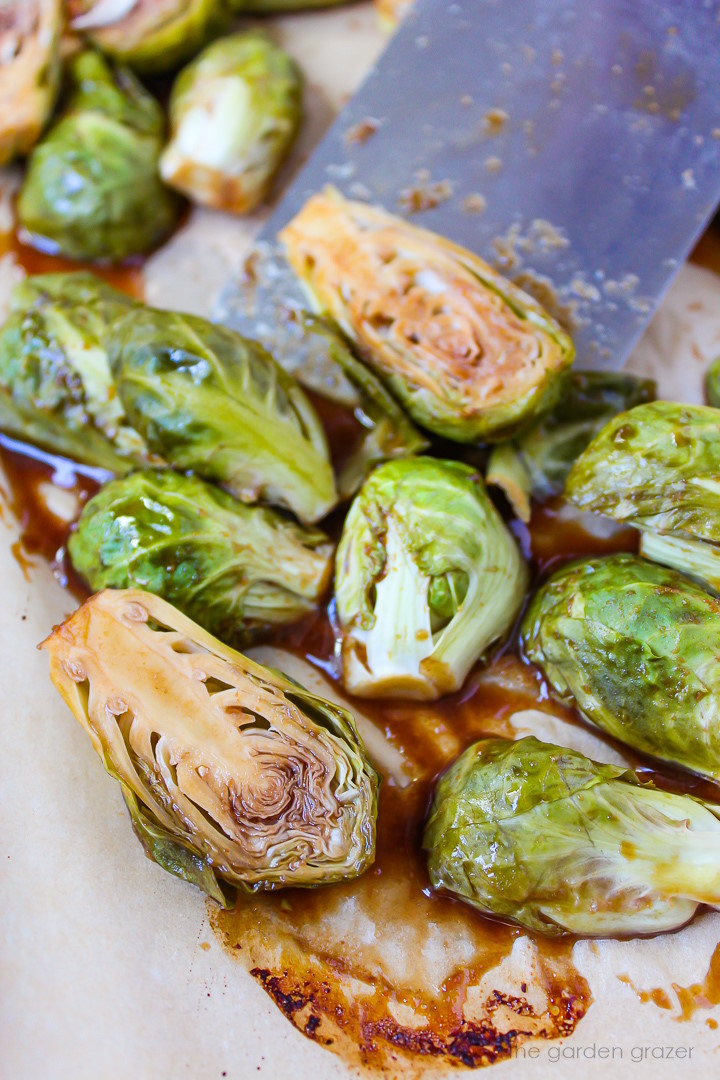 Metal spatula lifting up maple balsamic glazed Brussels sprouts after roasting on a sheet pan