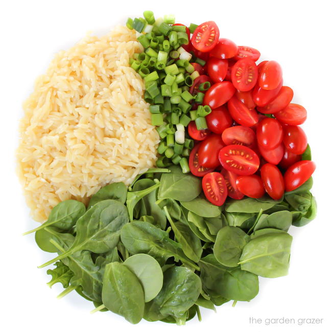 Ingredients for orzo tomato spinach salad in a bowl