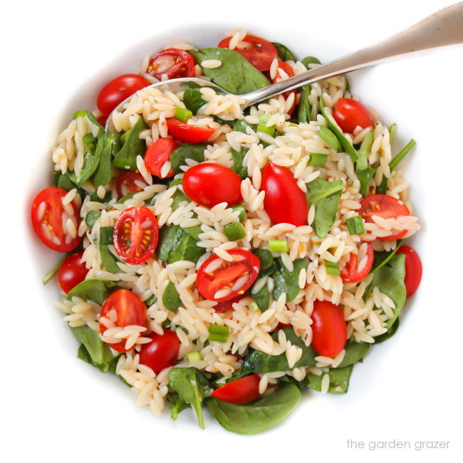 Bowl of orzo tomato salad with spoon