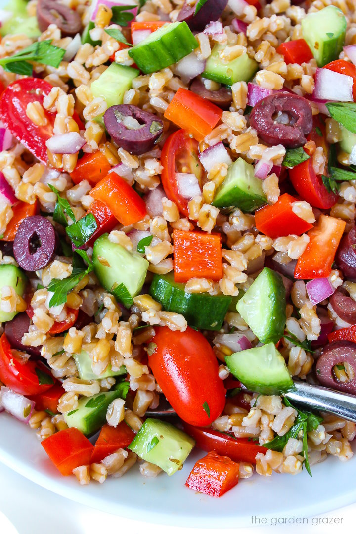 Close up view of vegan Greek farro salad on a white plate with serving spoon